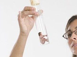 囊胚移植22天抽血发现雌二醇水平下降是正常的吗？