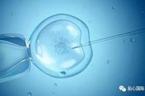 赴泰国做一次试管婴儿就成功的费用是多少？求价格表