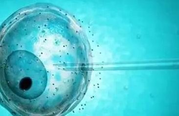 死精率80%的男性可以在鹰潭市做三代试管吗？公开2026做三代试管条件