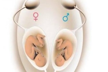 马来西亚试管婴儿费用解读：做一次究竟要花多少钱？